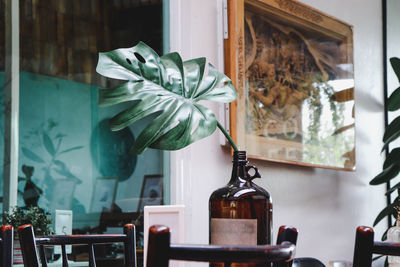 Close-up of leaf in vase on table at home