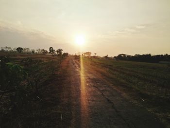 Scenic view of agricultural field against sky during sunset