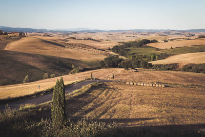 Scenic view of agricultural field against clear sky