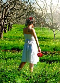 Rear view of woman standing on field during sunny day