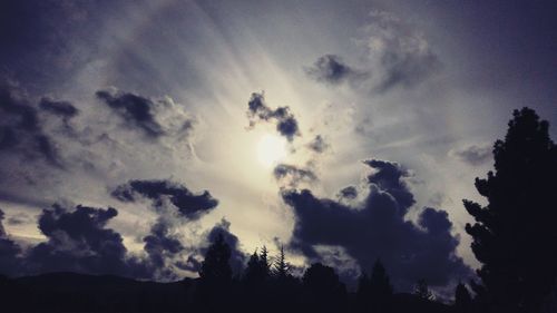 Low angle view of silhouette trees against sky