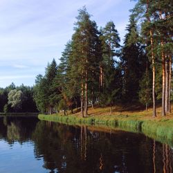 Scenic view of lake in forest against sky