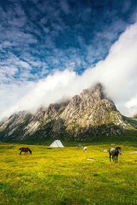 Scenic view of grassy field against cloudy sky