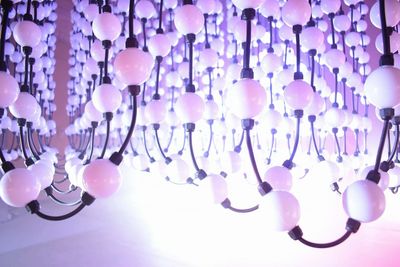 Close-up of balloons hanging on ceiling