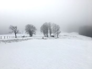 Trees on snow covered landscape against clear sky