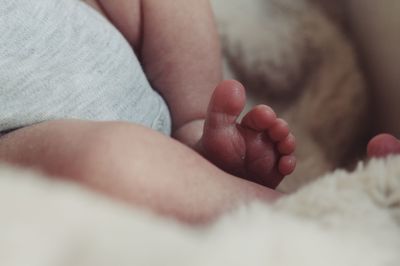 Low section of baby feet