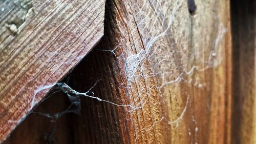 Close-up of wooden door