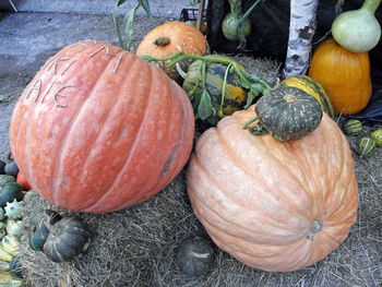 Close-up of pumpkins in autumn