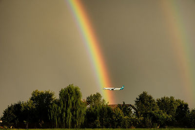 Low angle view of rainbow over trees against sky