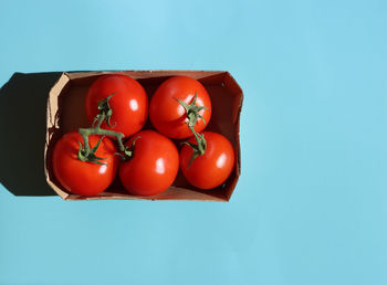 Close-up of tomatoes on blue background