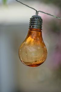 Close-up of electric lamp hanging