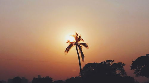 Low angle view of silhouette coconut palm trees against sky during sunset