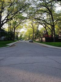 Empty road amidst trees in city