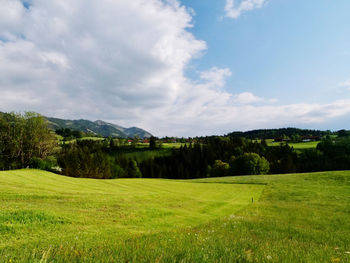 Scenic view of landscape against sky