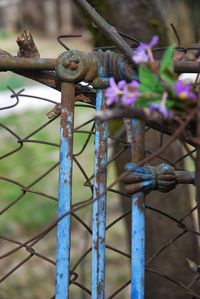 Close-up of metal chain