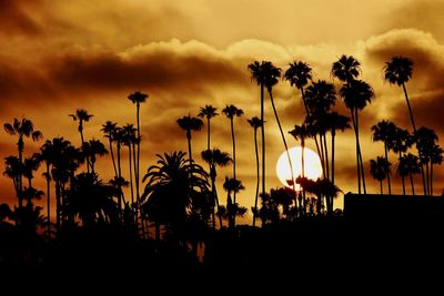 Silhouette palm trees against sky during sunset