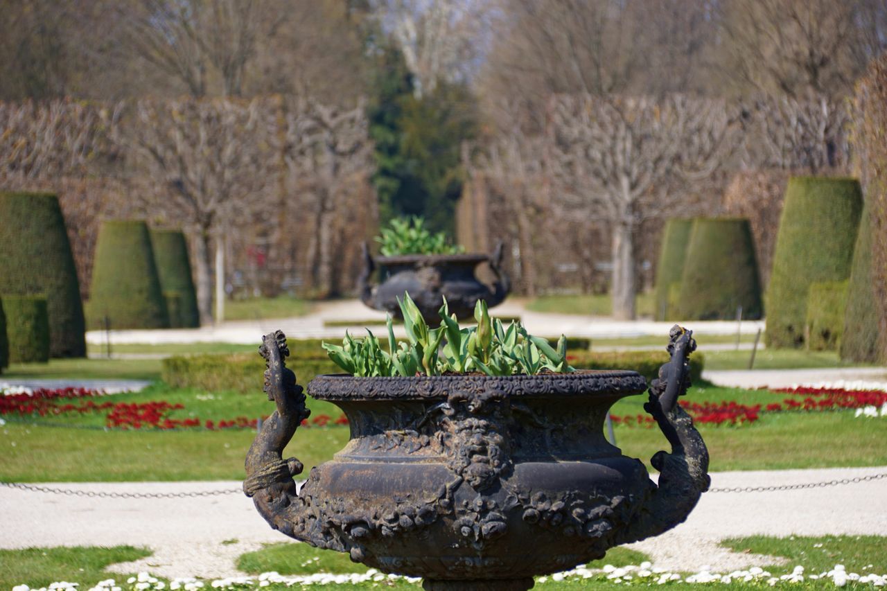 plant, tree, nature, day, focus on foreground, park, park - man made space, no people, representation, architecture, outdoors, grass, sunlight, human representation, close-up, sculpture, art and craft, built structure, statue