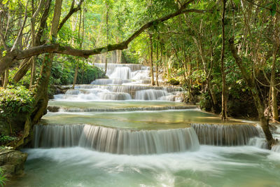 Scenic view of waterfall in forest