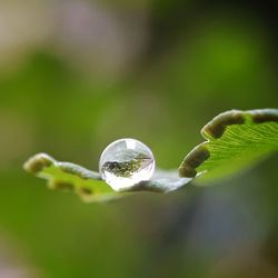 Close-up of crystal ball against blurred background