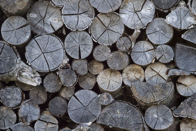 Full frame shot of logs in forest