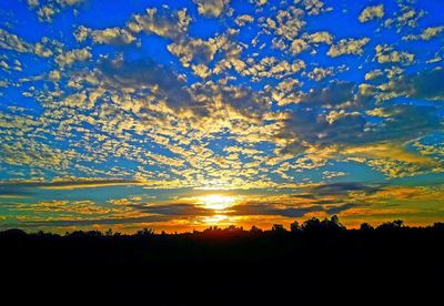 Silhouette trees against sky during sunset