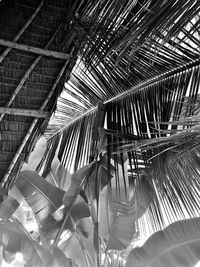 Low angle view of ceiling