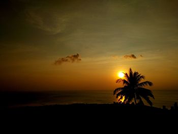 Silhouette plant on beach against sky during sunset