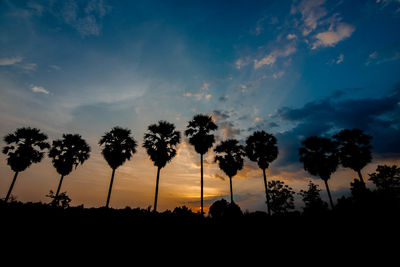 Low angle view of silhouette trees against sky during sunset