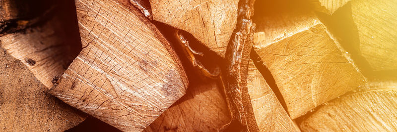 Detail shot of food