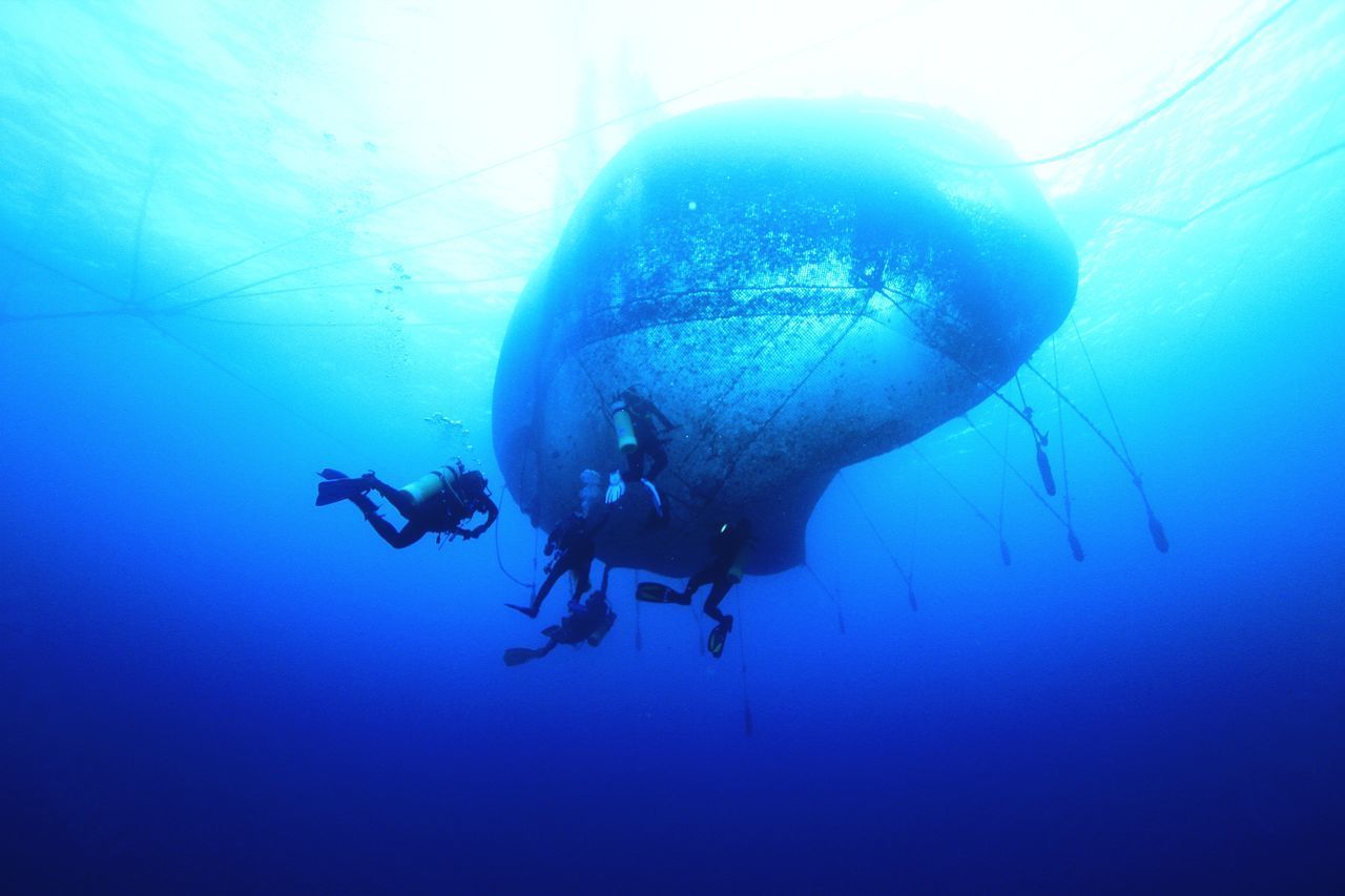 LOW ANGLE VIEW OF PEOPLE IN SEA