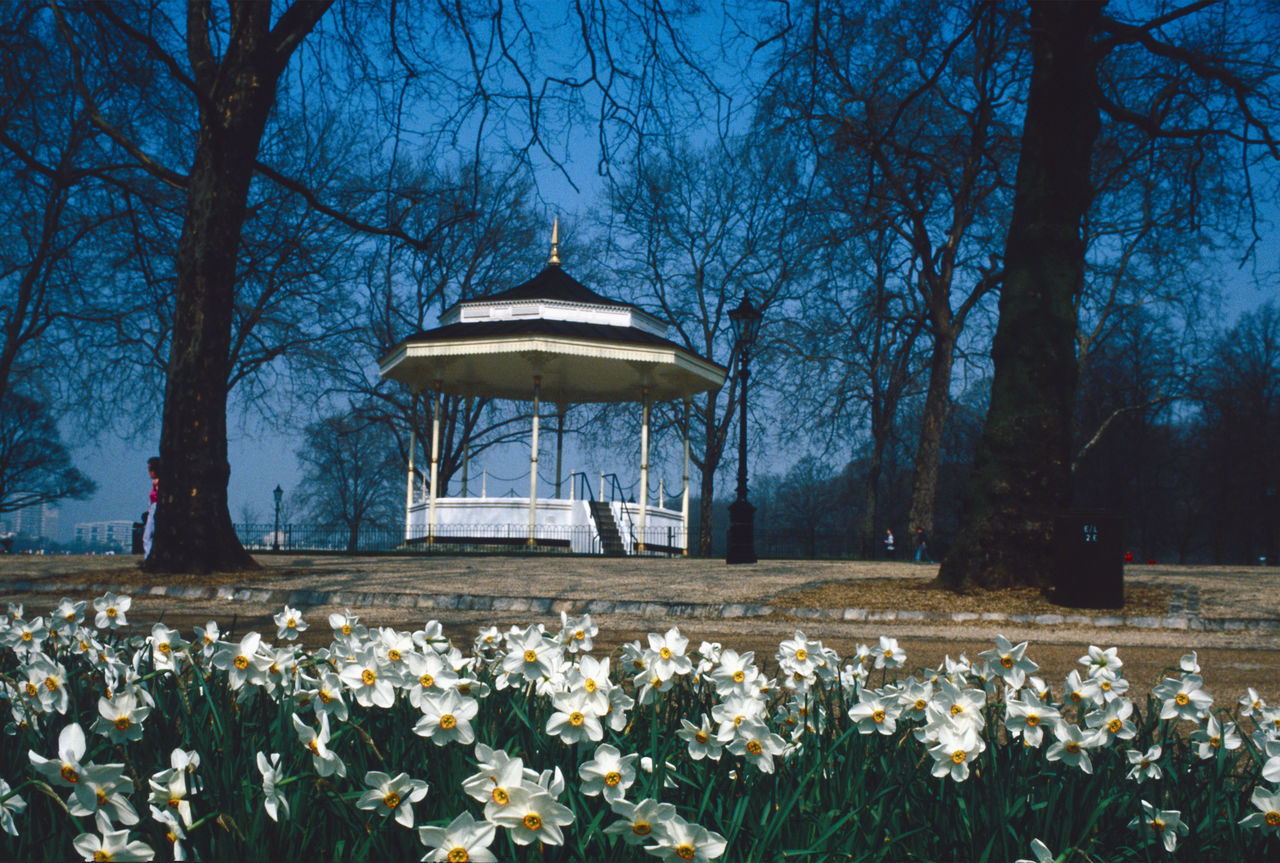 Bandstand in London Park