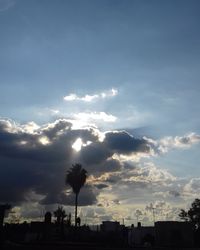 Low angle view of silhouette trees against sky