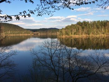 Scenic view of lake by trees against sky