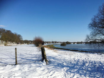 Trees on snow covered field against sky