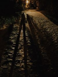 Shadow of man on footpath