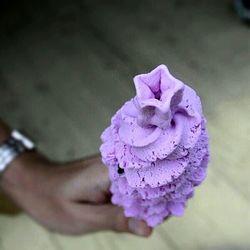 Close-up of hand holding flower