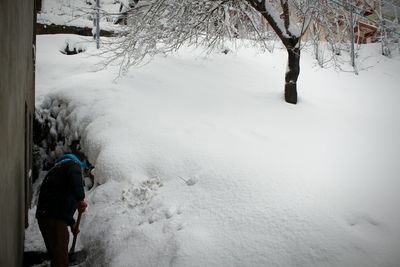 Man walking on snow covered tree