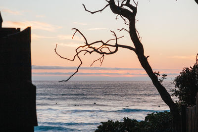 Silhouette tree by sea against sky during sunset