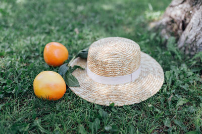 Straw hat on a grass and two oranges