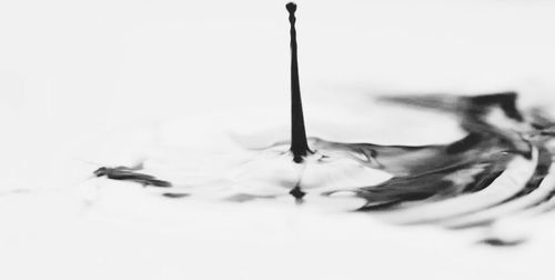 Close-up of over white background