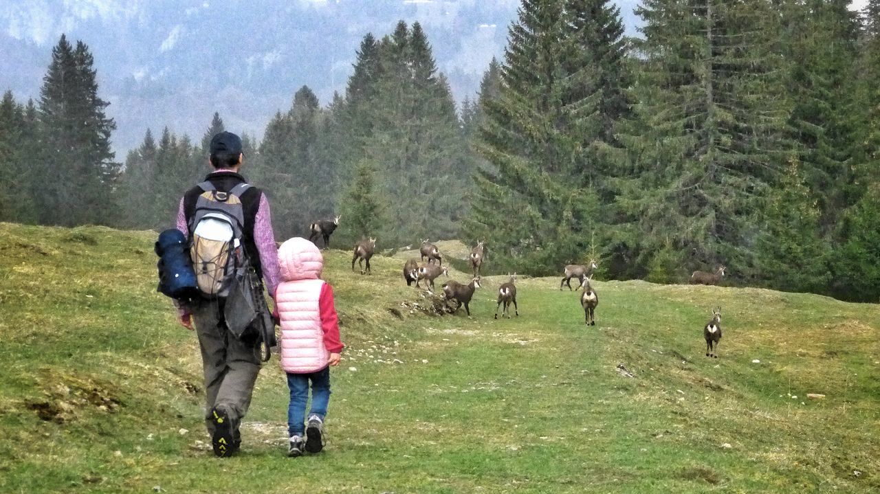 FULL LENGTH REAR VIEW OF PEOPLE WALKING ON LAND