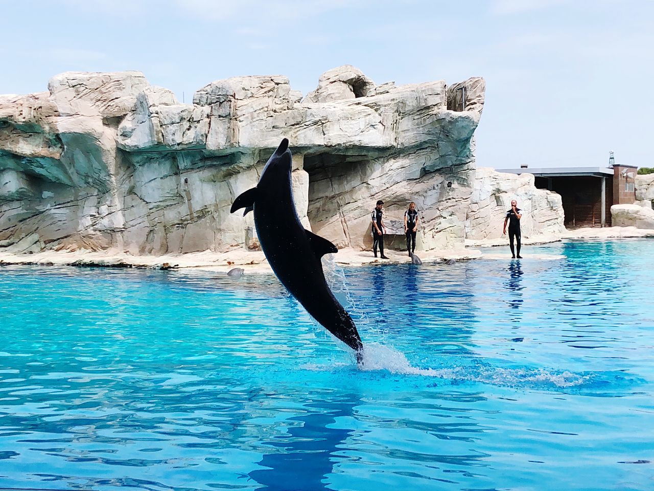 PEOPLE JUMPING BY SWIMMING POOL