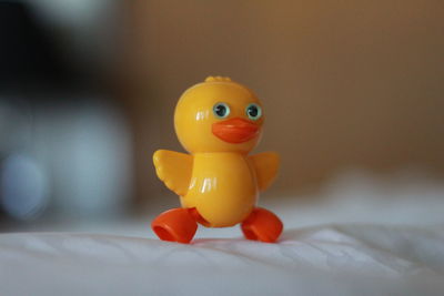 Close-up of yellow toy