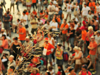 Out of focus shot of large group of people during a rally