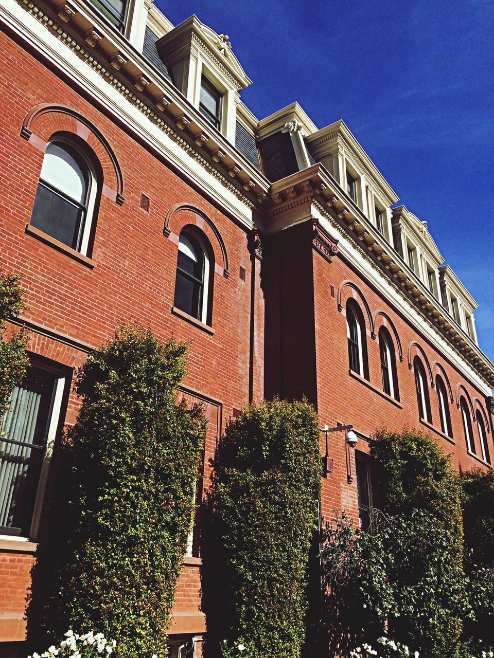 architecture, building exterior, built structure, low angle view, window, blue, clear sky, residential building, building, sunlight, residential structure, balcony, sky, day, facade, outdoors, house, tree, plant, no people