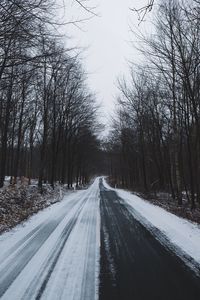 Road amidst trees during winter