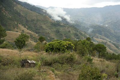 High angle view of trees on mountains against sky