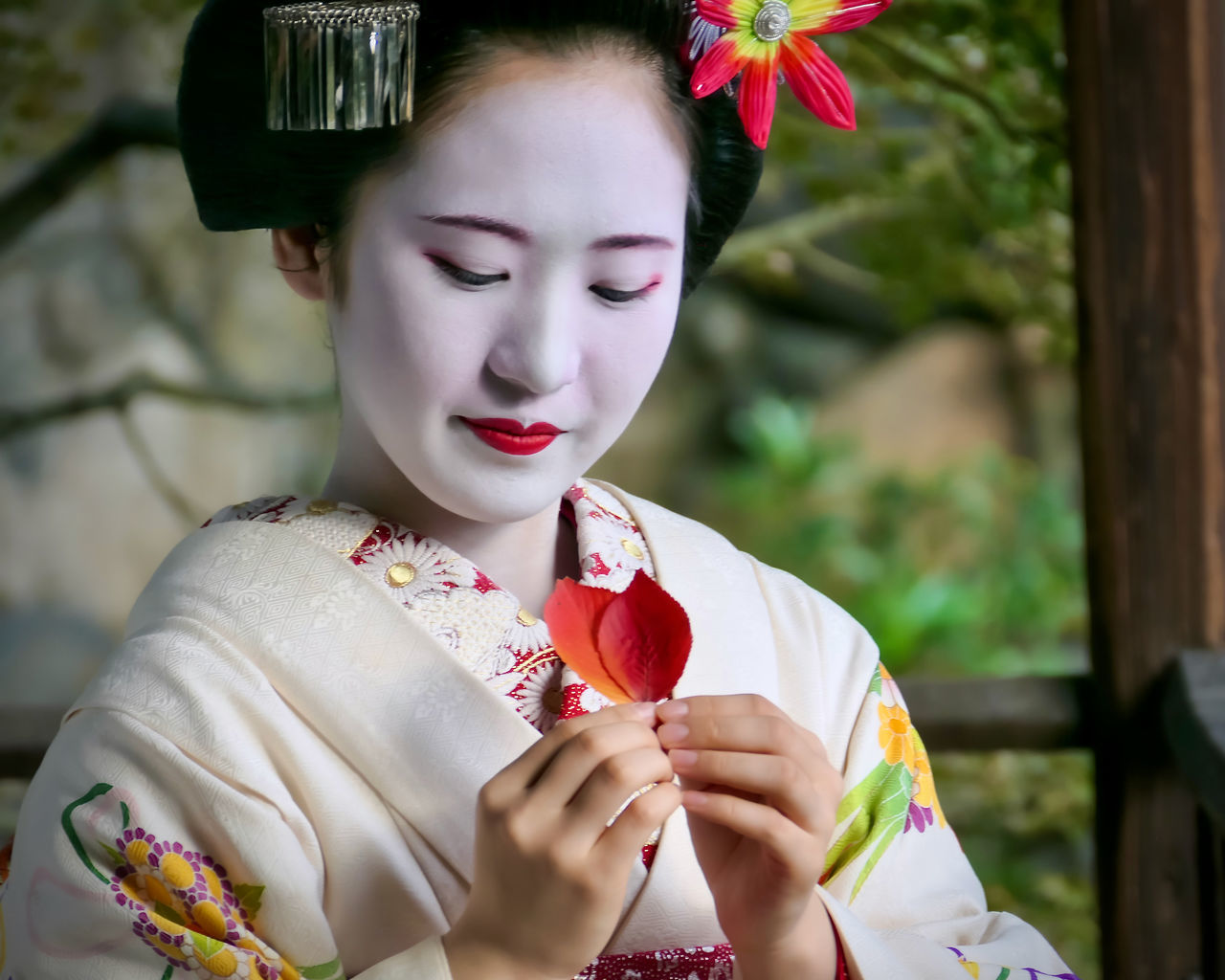female, culture, women, one person, person, young adult, flower, portrait, adult, clothing, flowering plant, make-up, kimono, nature, plant, beauty in nature, red, fashion, lifestyles, traditional clothing, tradition, front view, costume, outdoors, holding, food and drink, headshot, lipstick, celebration, robe, freshness, food, emotion, spring, arts culture and entertainment, fashion accessory