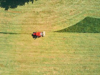 Aerial view to red tractor harvesting a green fresh grass.