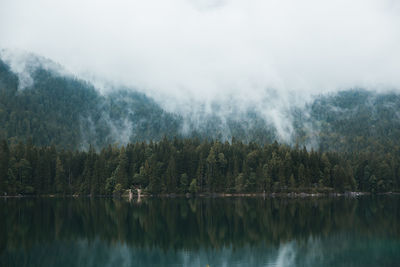 Scenic view of lake in forest against sky